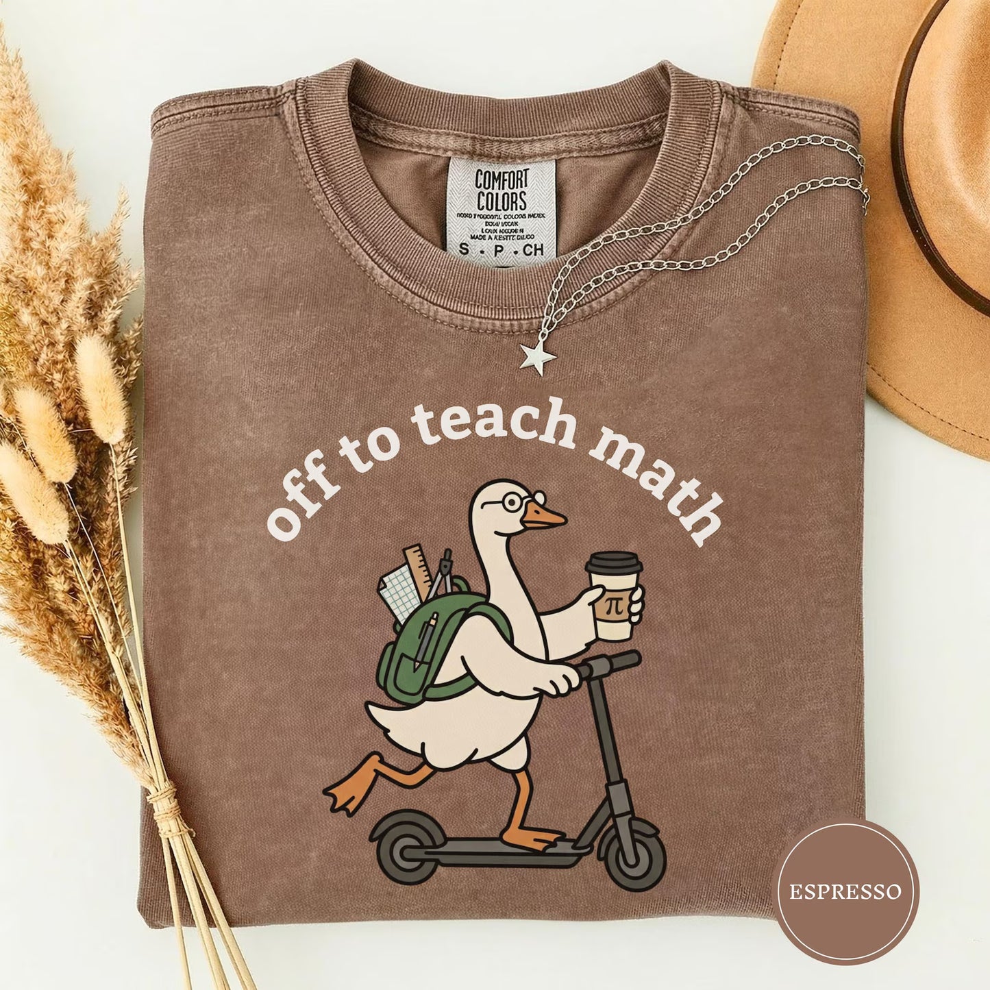 Off to Teach Math Shirt, Funny Math Goose Teacher Tee
